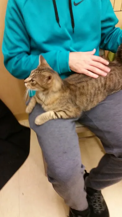 Pet Supplies Plus Lafayette Picture 6