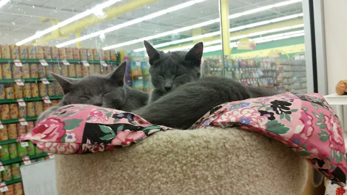 Pet Supplies Plus Lafayette Picture 1