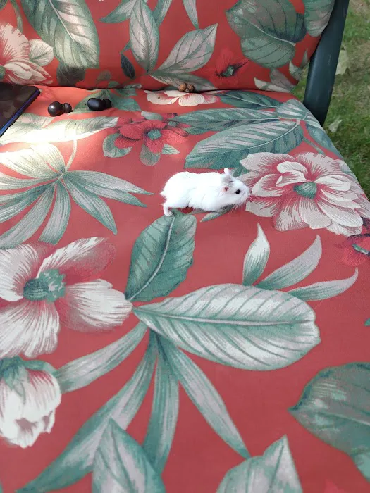 Pet Supplies Plus Lafayette Picture 9