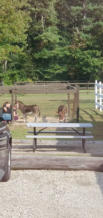 South Shore Equine Clinic & Diagnostic Center Picture 9