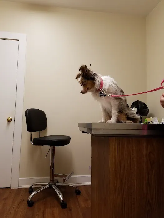 Halifax Veterinary Service Picture 1