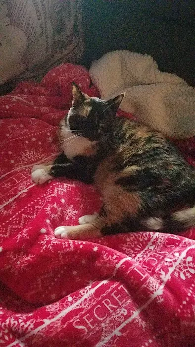 Halifax Veterinary Service Picture 3