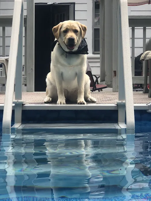 Mobile Animal Care Picture 1