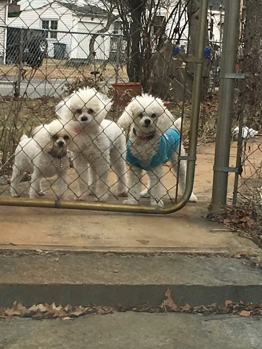 East Bridgewater Veterinary Picture 8