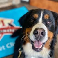 JM Pet Resort & Veterinary Clinic ico
