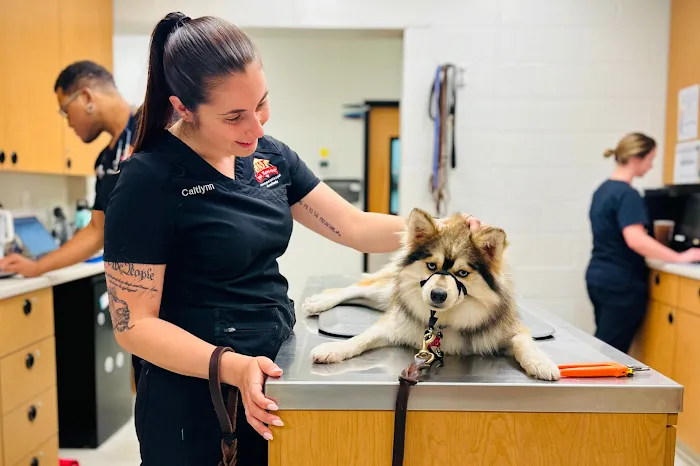 JM Pet Resort & Veterinary Clinic Picture 4