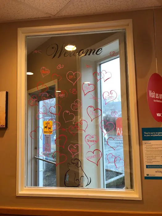 VCA Whitman Animal Hospital Picture 6