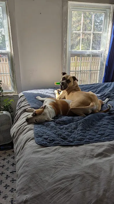 VCA Whitman Animal Hospital Picture 9