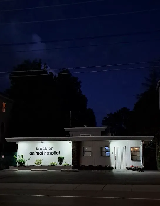 Brockton Animal Hospital Picture 1