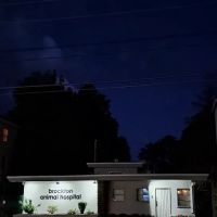 Brockton Animal Hospital ico