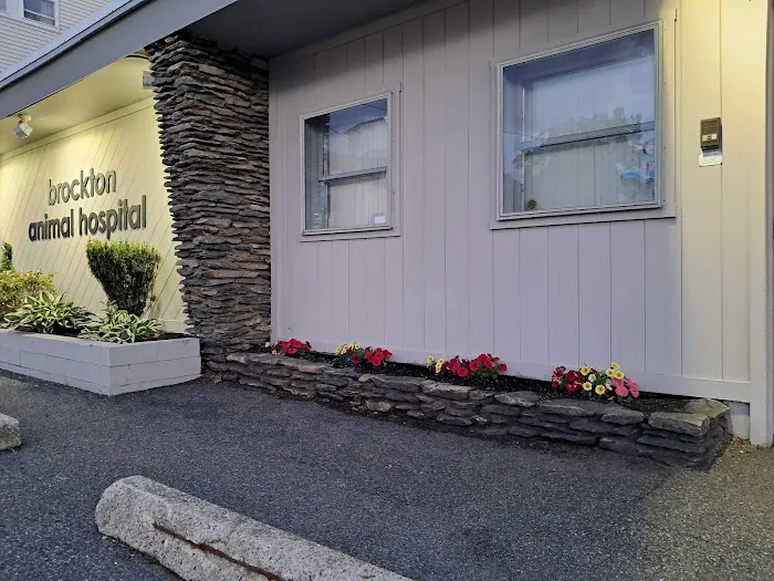 Brockton Animal Hospital Picture 2