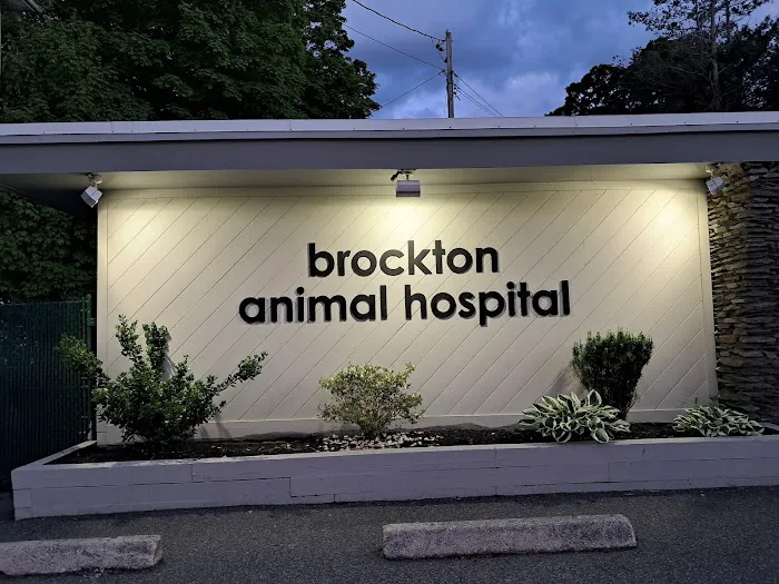 Brockton Animal Hospital Picture 6