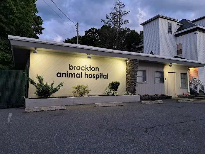 Brockton Animal Hospital Picture 9