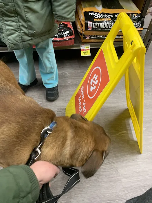 VIP Petcare Vaccination Clinic Picture 2