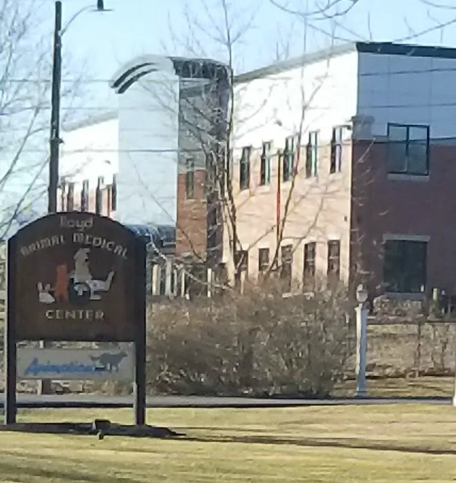 VCA Lloyd Animal Hospital Picture 3