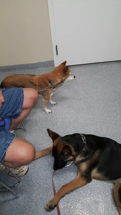 VCA Lloyd Animal Hospital Picture 1