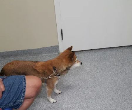 VCA Lloyd Animal Hospital