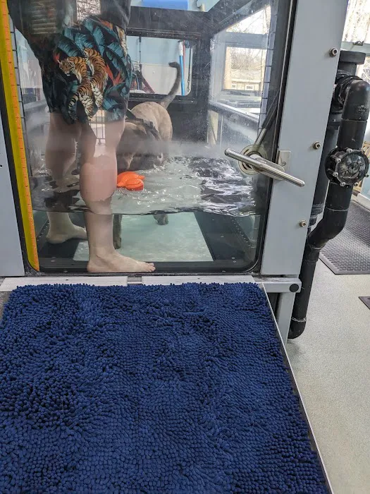 VCA Lloyd Animal Hospital Picture 8