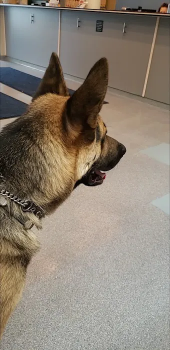 VCA Lloyd Animal Hospital Picture 9