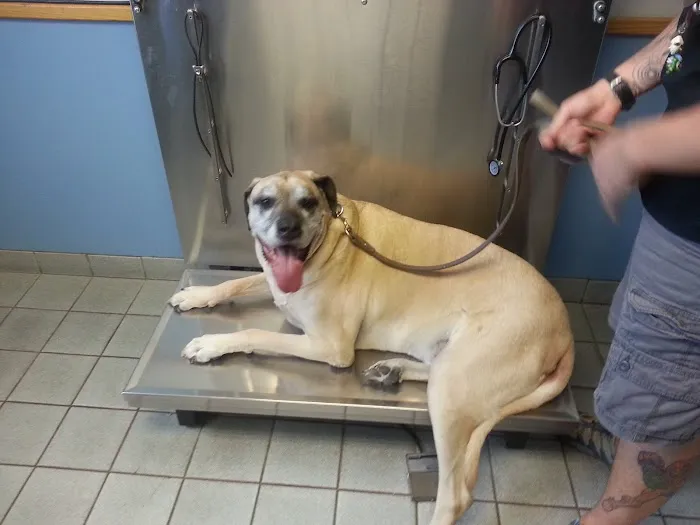 Melvin C. Haddad Picture 1