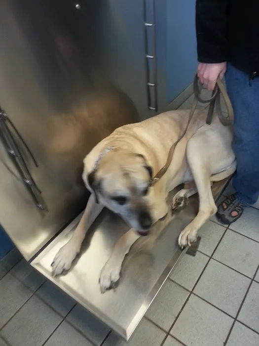 Melvin C. Haddad Picture 3