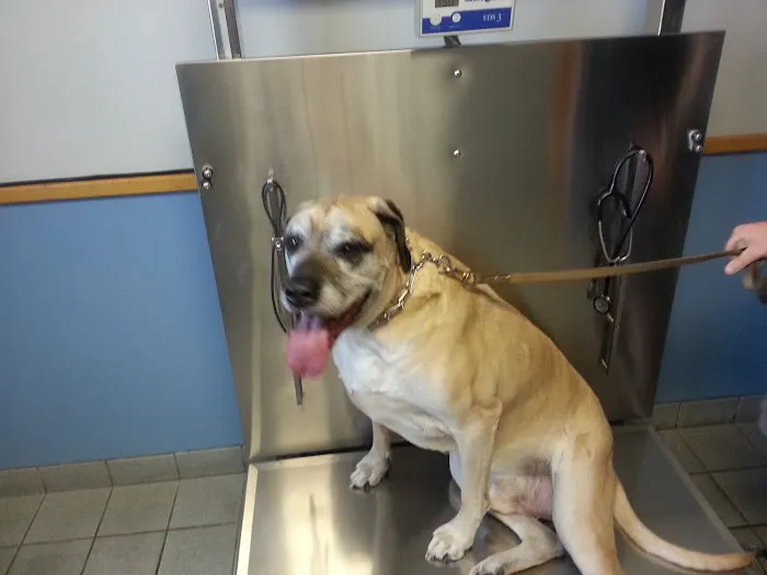 Melvin C. Haddad Picture 2