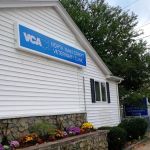 VCA North Main Street Veterinary Clinic