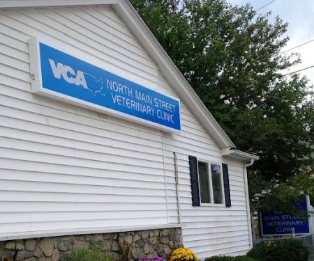 VCA North Main Street Veterinary Clinic