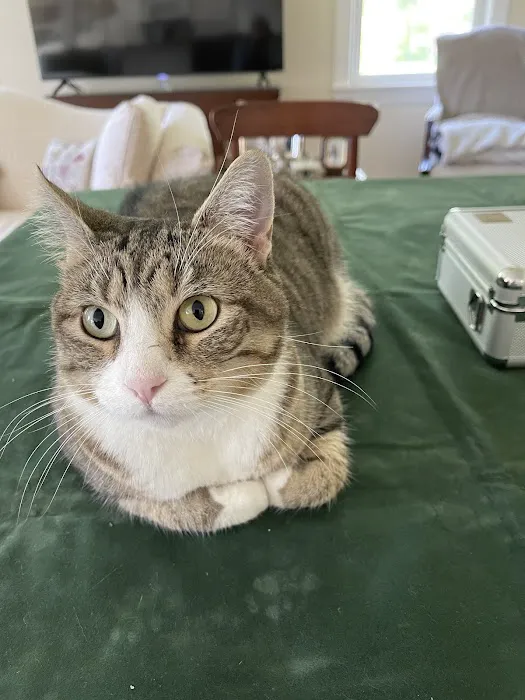 Millerton Veterinary Practice, PLLC Picture 5