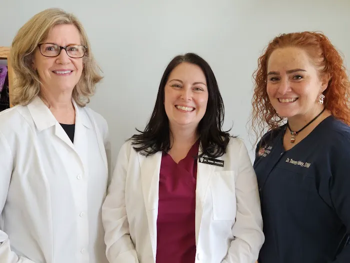 Millerton Veterinary Practice, PLLC Picture 1