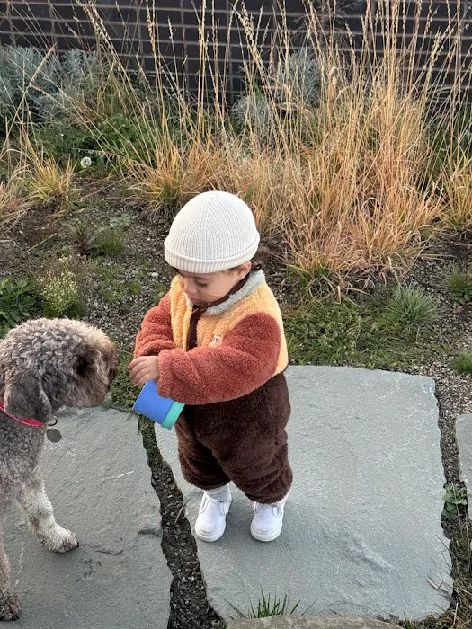 Millerton Veterinary Practice, PLLC Picture 6