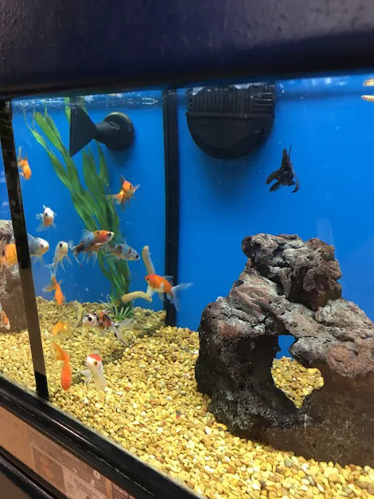 Petco Picture 6