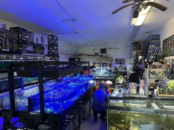Clear Water Aquarium Picture 3