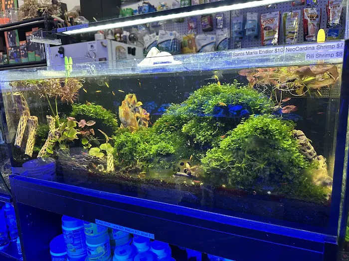 Clear Water Aquarium Picture 1