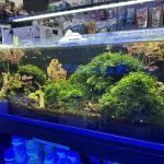 Clear Water Aquarium