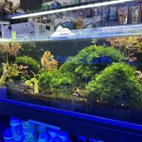 Clear Water Aquarium ico