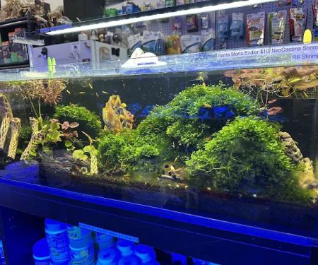 Clear Water Aquarium