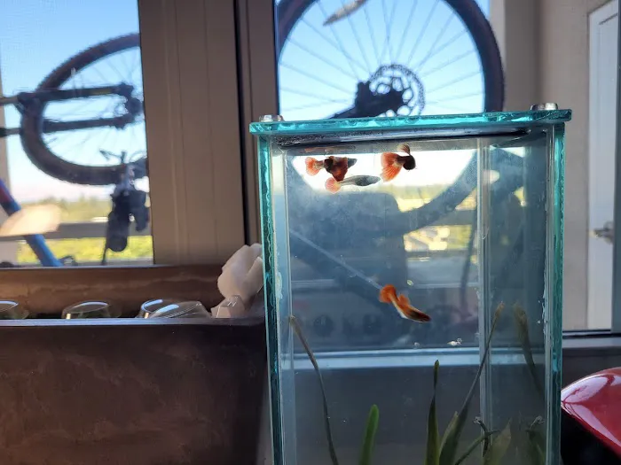 Clear Water Aquarium Picture 6