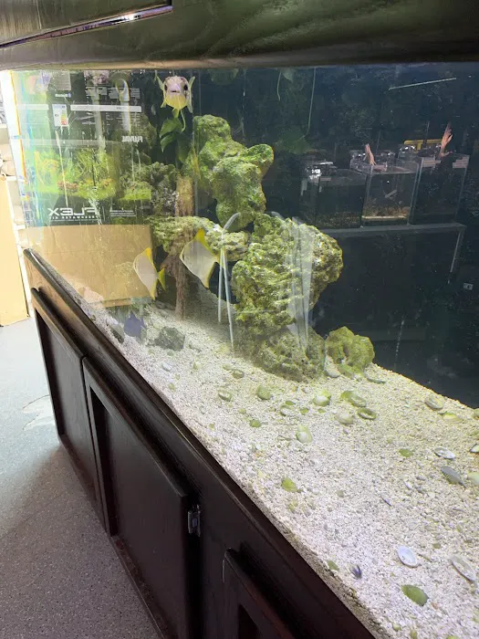 Clear Water Aquarium Picture 5