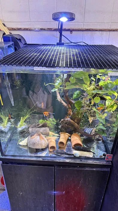 Clear Water Aquarium Picture 4