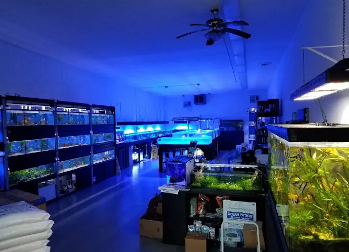 Clear Water Aquarium Picture 10
