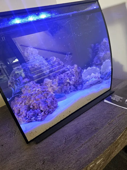 Clear Water Aquarium Picture 8