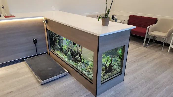 Clear Water Aquarium Picture 9