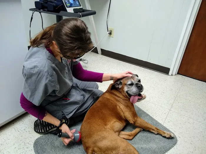 Copake Veterinary Hospital Picture 1