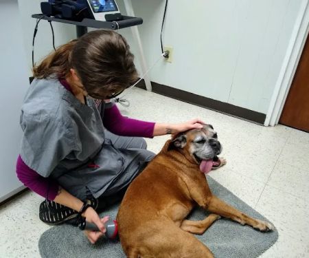 Copake Veterinary Hospital