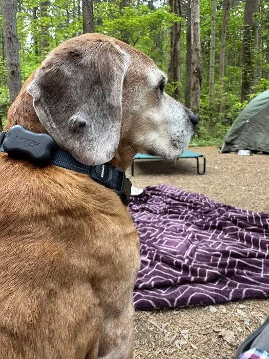 Copake Veterinary Hospital Picture 3