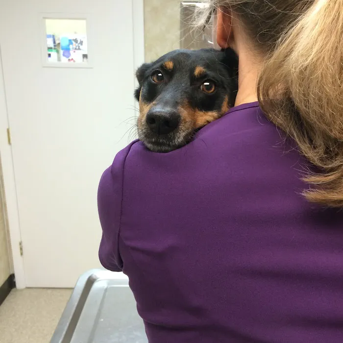 Copake Veterinary Hospital Picture 5