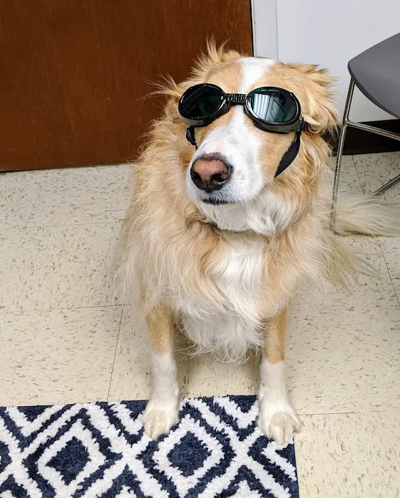 Copake Veterinary Hospital Picture 6