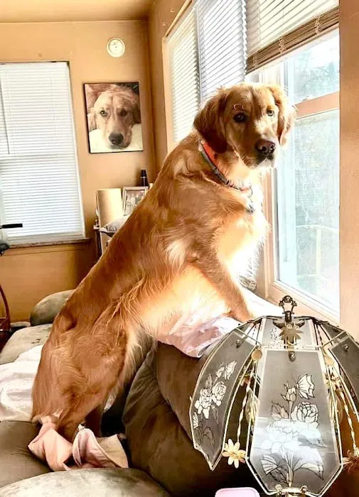 Copake Veterinary Hospital Picture 4