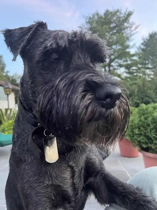 Copake Veterinary Hospital Picture 7